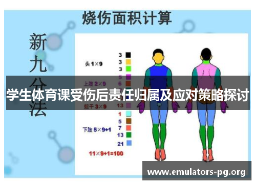 学生体育课受伤后责任归属及应对策略探讨