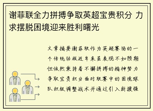 谢菲联全力拼搏争取英超宝贵积分 力求摆脱困境迎来胜利曙光