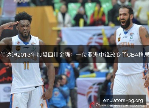 哈达迪2013年加盟四川金强：一位亚洲中锋改变了CBA格局